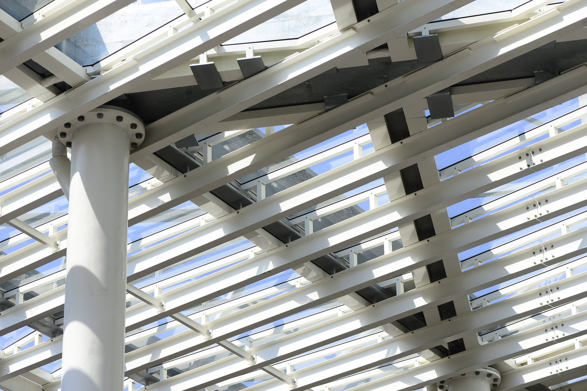 Admirant wind canopy