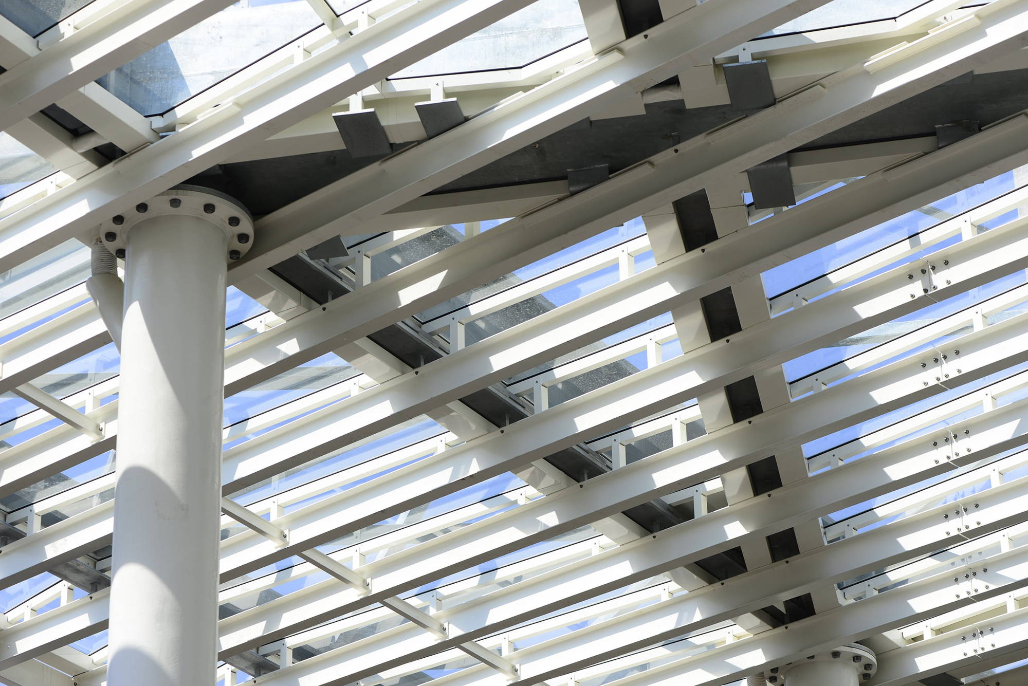 Admirant wind canopy