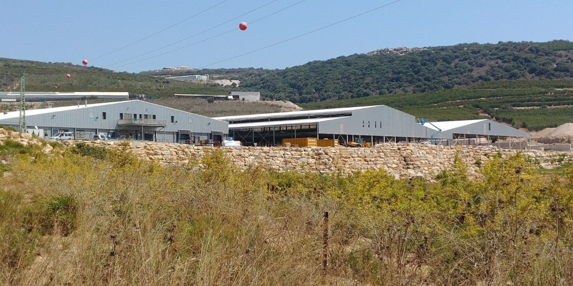 Marina Galilee Mushrooms Israël