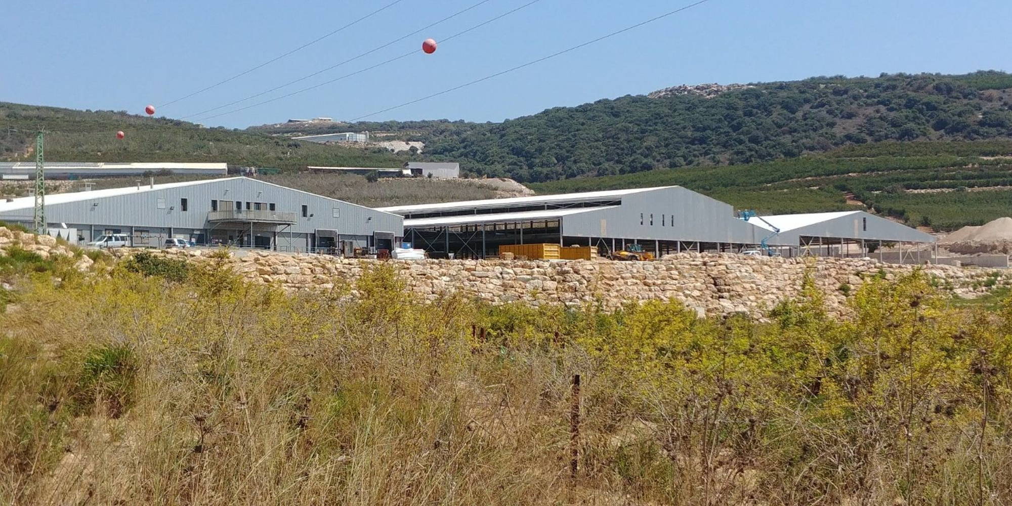 Marina Galilee Mushrooms Israël